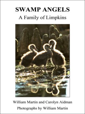 cover image of Swamp Angels